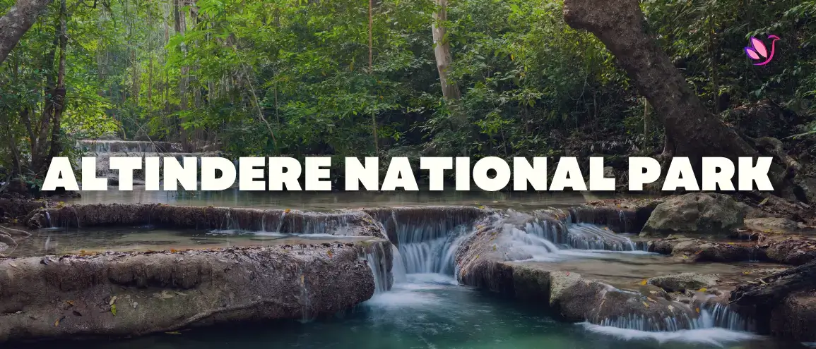Altındere National Park