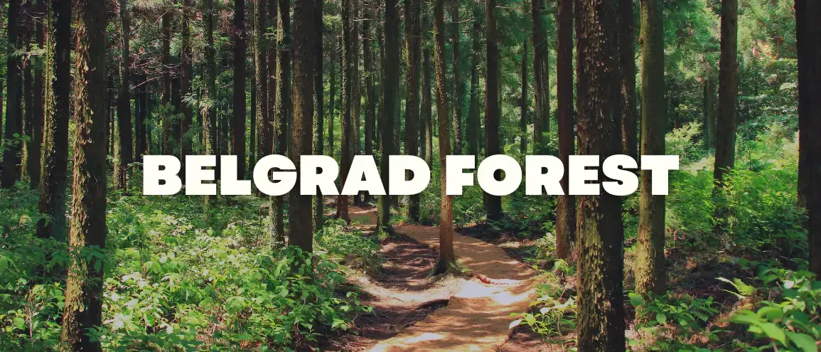 Belgrad Forest