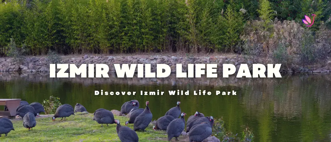 Izmir Wild Life Park