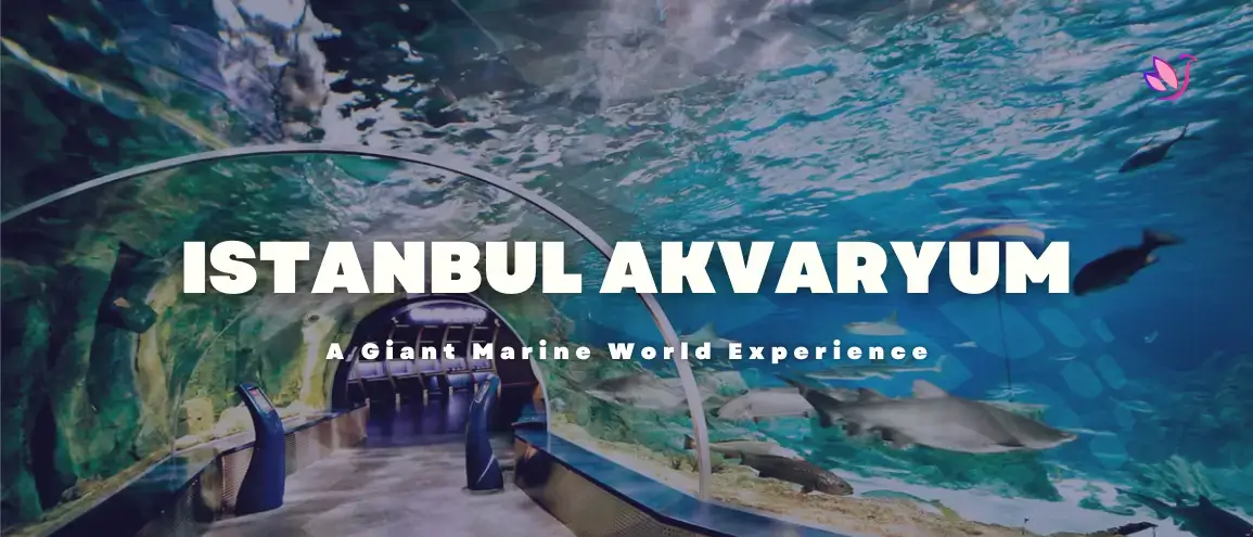 Istanbul Akvaryum