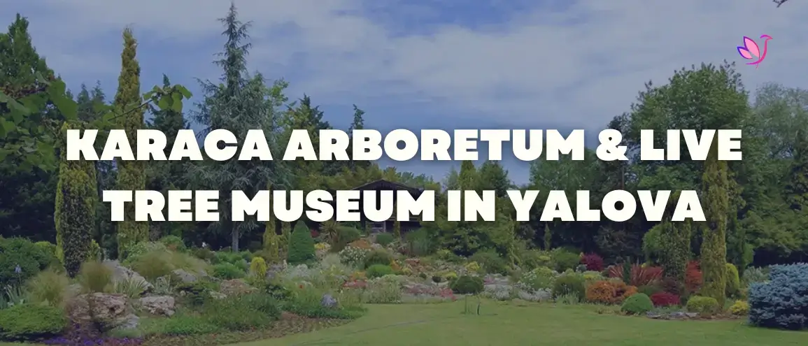 Karaca Arboretum and Live Tree Museum in Yalova