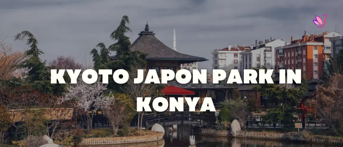 Kyoto Japon parki