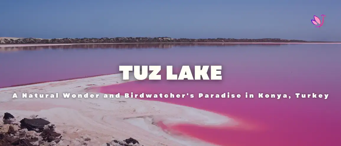 Tuz Lake