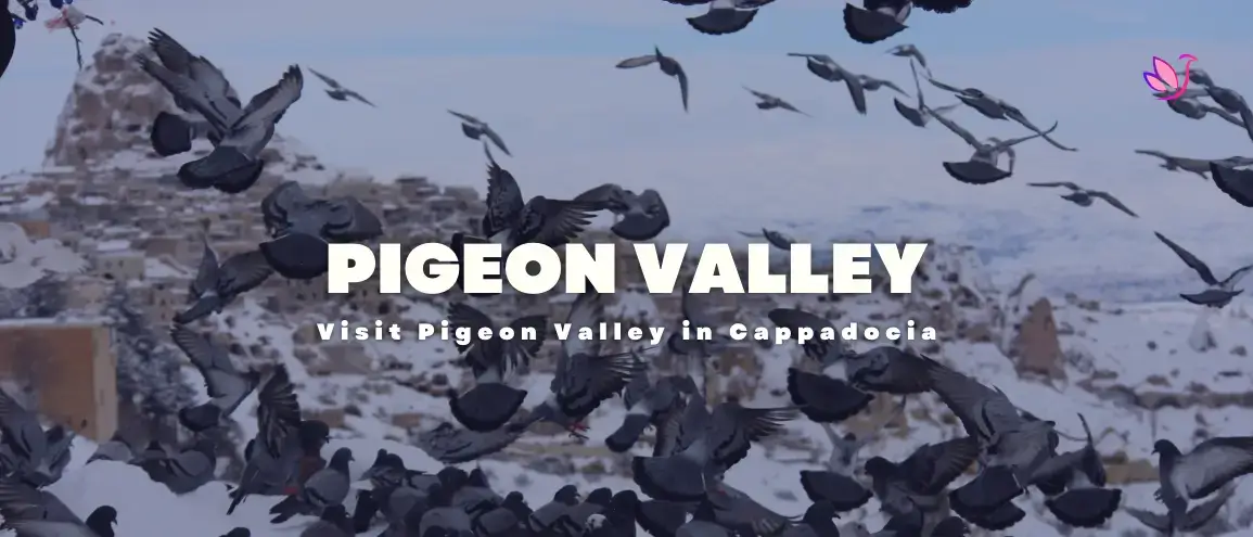 Pigeon Valley